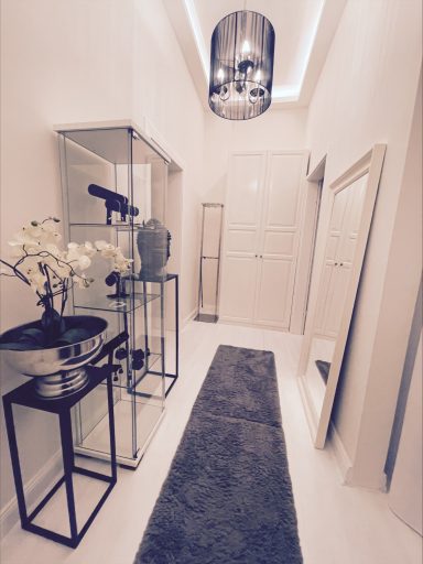 Heller Flur mit modernem Dekor, Spiegel, Glasvitrinen und Teppich.